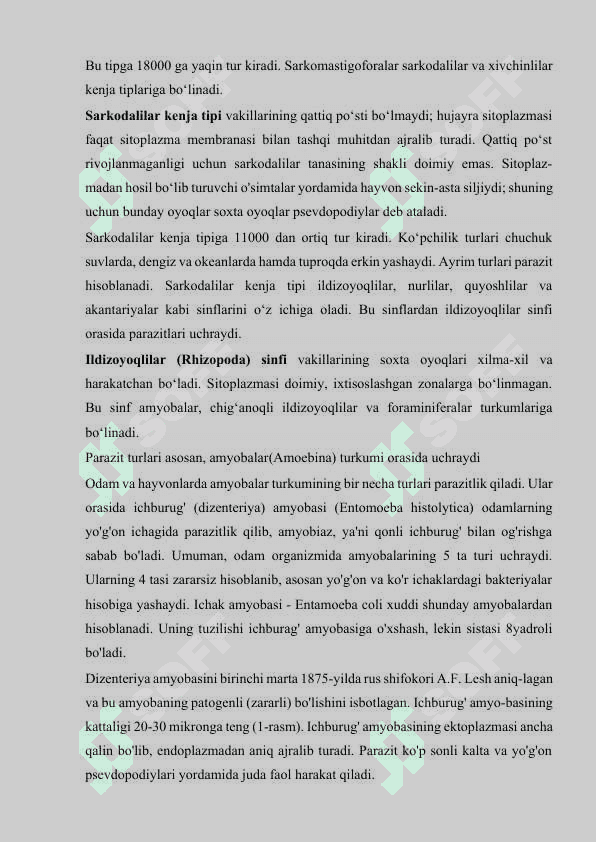 Bir hujayrali organizmlar 4