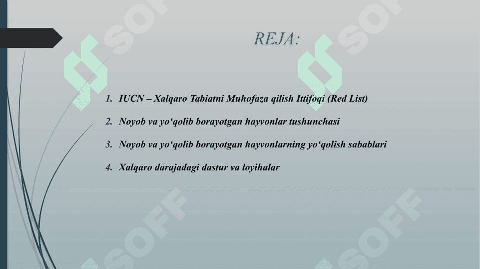 NOYOB VA YO'QOLIB BORAYOTGAN HAYVONLARNI ASRASHGA QARATILGAN DASTUR VA LOYIHALAR 2