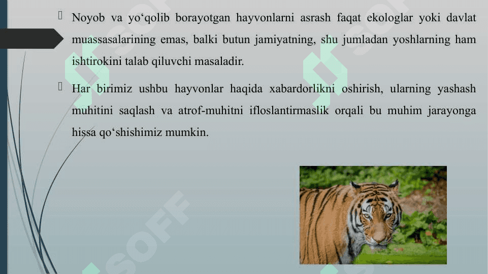 NOYOB VA YO'QOLIB BORAYOTGAN HAYVONLARNI ASRASHGA QARATILGAN DASTUR VA LOYIHALAR 6