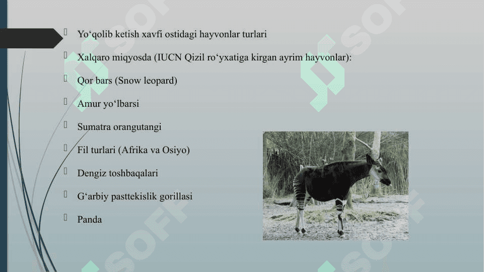NOYOB VA YO'QOLIB BORAYOTGAN HAYVONLARNI ASRASHGA QARATILGAN DASTUR VA LOYIHALAR 7