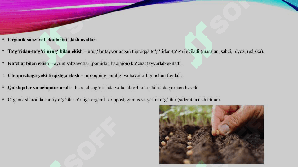 Organik sabzavot ekinlarini ekish muddatlari usullari va almashlab ekish 4