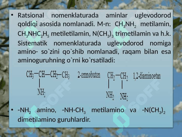 Aminobirikmalar. Alifatik aminobirikmalar 5