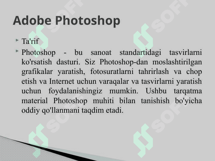 ADOBE PHOTOSHOP 2