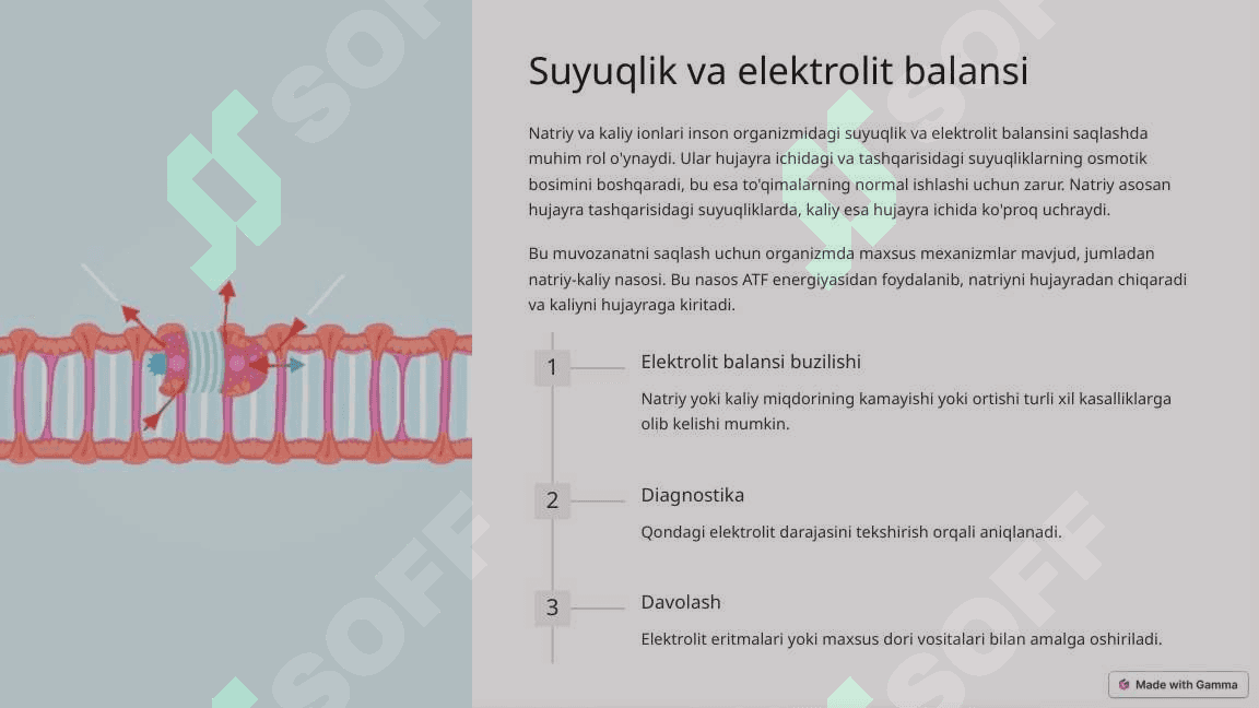 Ishqoriy metallarning inson organizmidagi ahamiyati va ular saqlovchi dorivor preparatlar 2