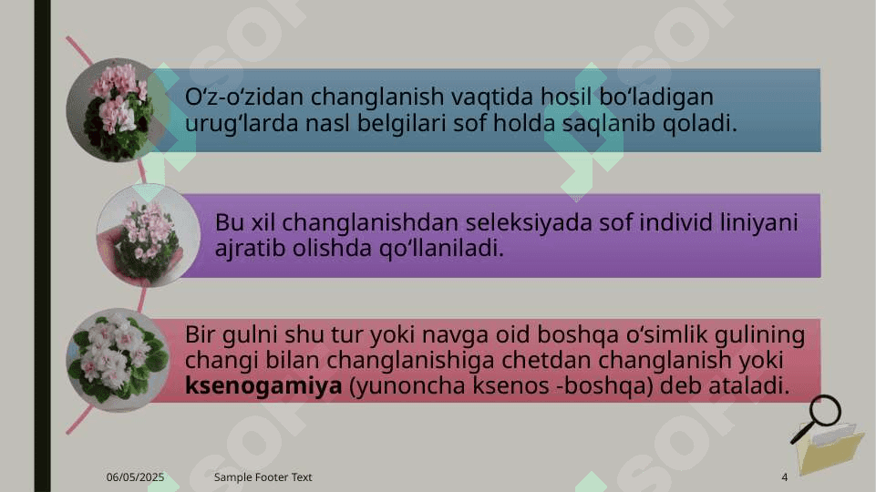 Guldagi chetdan changlanish va o‘z-o‘zidan changlanishga moslanishlar 4