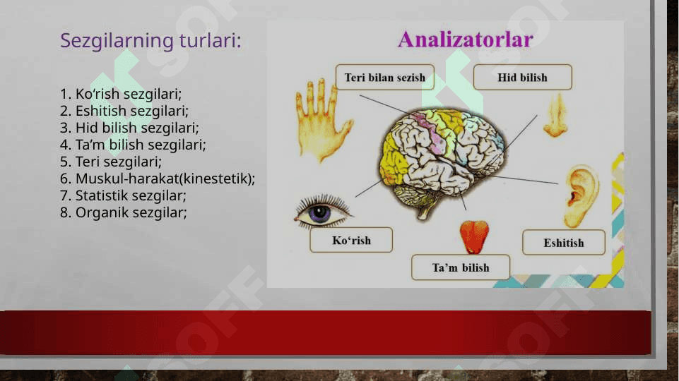 Sezgi psixologiyasi 4