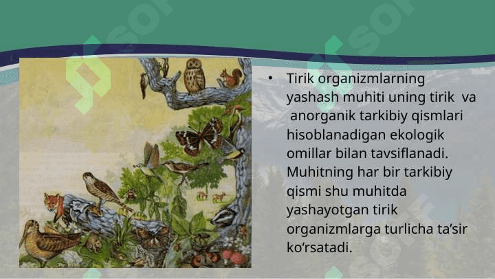 EKOLOGIK OMILLAR 2
