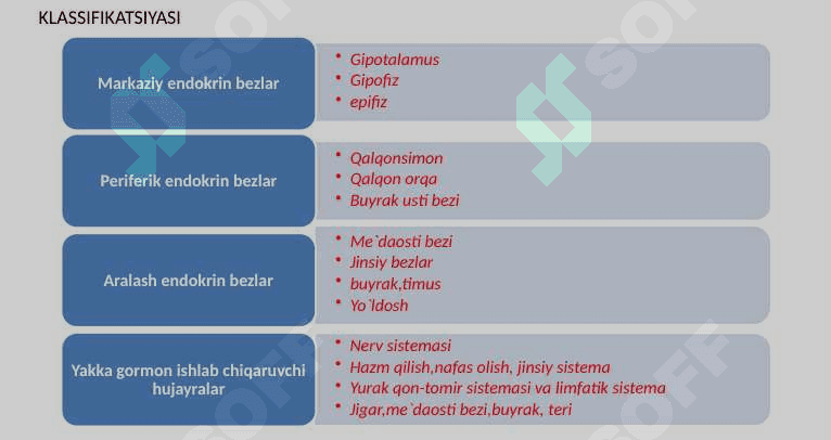 GISTOLOGIYA 6