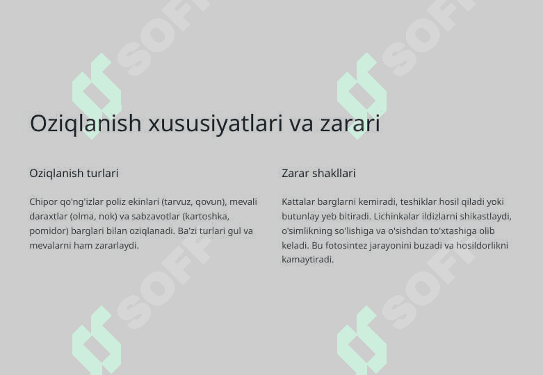 Chipor qo'ng'izlar oilasi 3