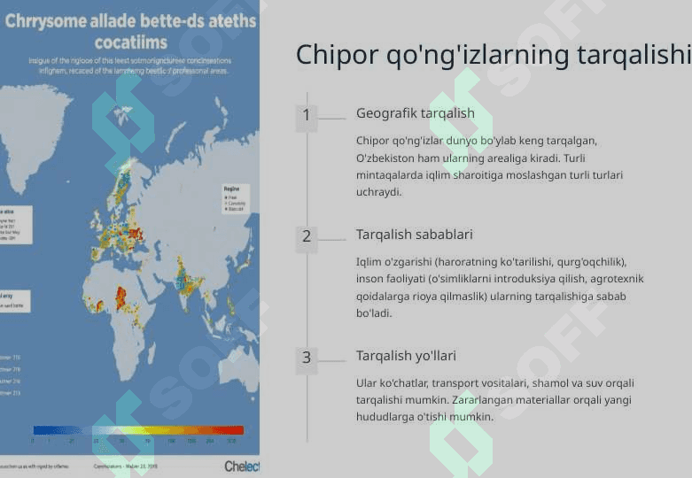 Chipor qo'ng'izlar oilasi 4