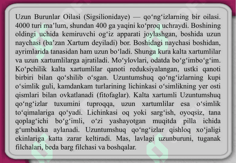 Uzun burunlar oilasi 2