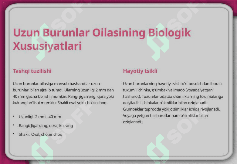 Uzun burunlar oilasi 3