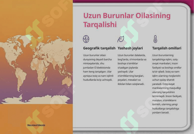 Uzun burunlar oilasi 4