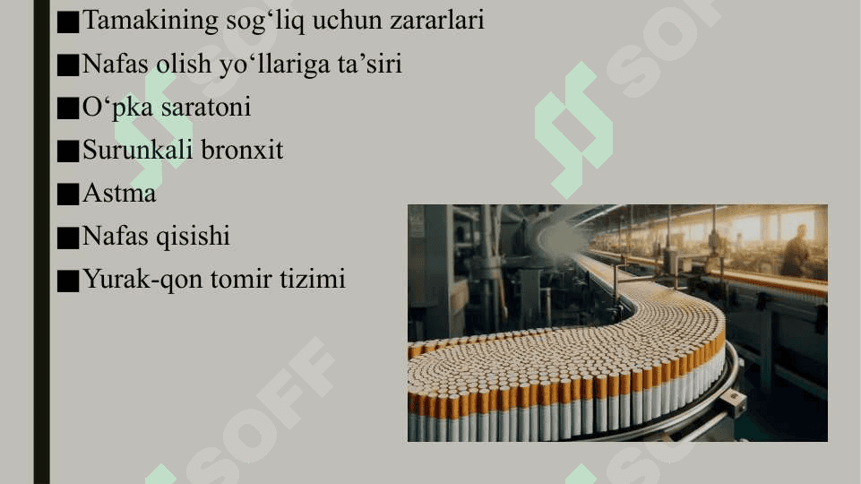 Tamaki umr zavoli 6
