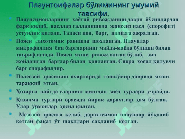 Плаунтоифа (Lycopodiophyta) ўсимликлар. 3