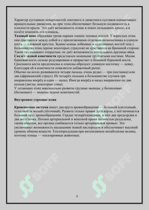 Систематика птиц 6