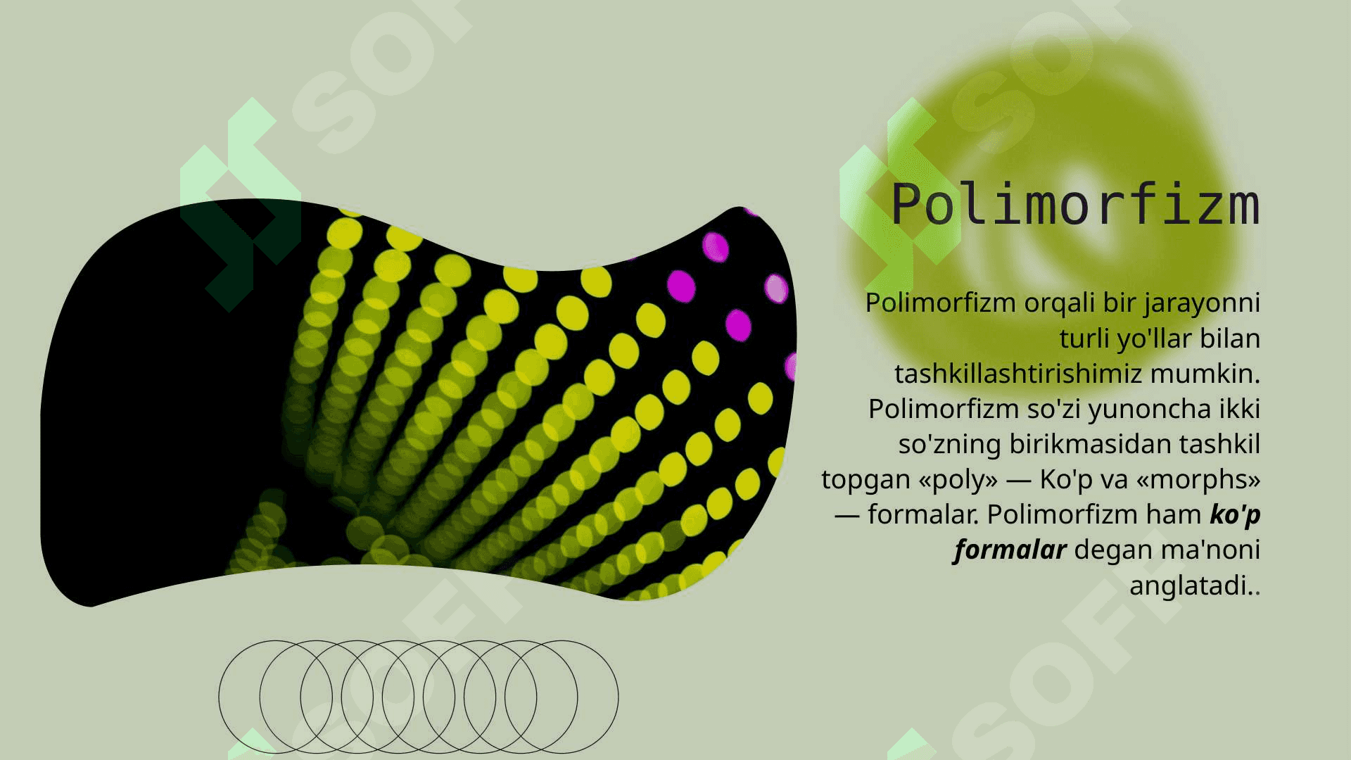 Polimorfizm 3