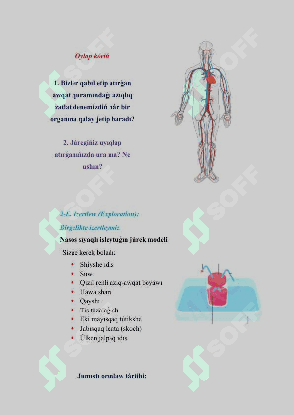 Qan aylanıw sisteması_5E 3