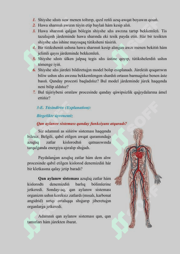 Qan aylanıw sisteması_5E 4