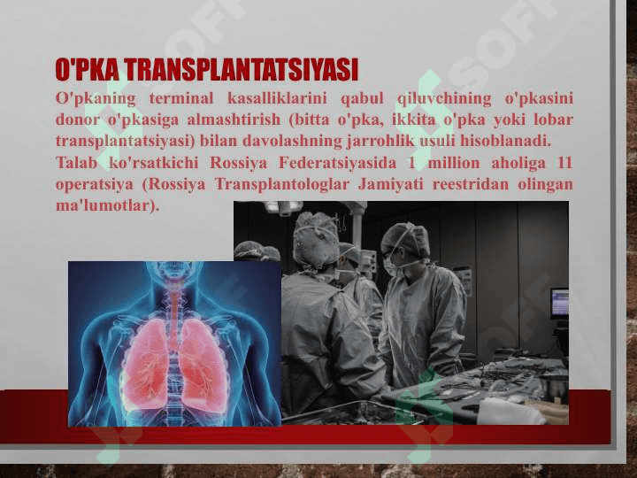 O’pka transplantatsiyasi 2
