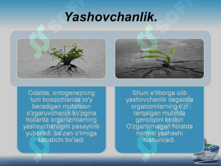 yashash uchun kurash 2