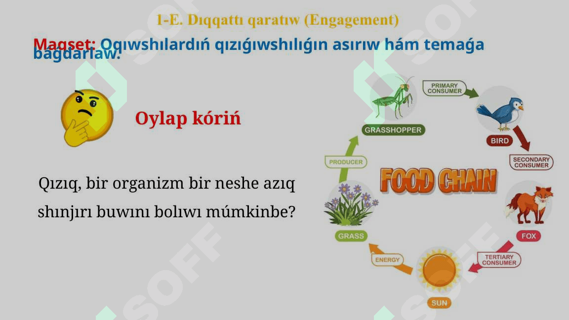 Azıq shınjırları hám azıq torı_5E 3