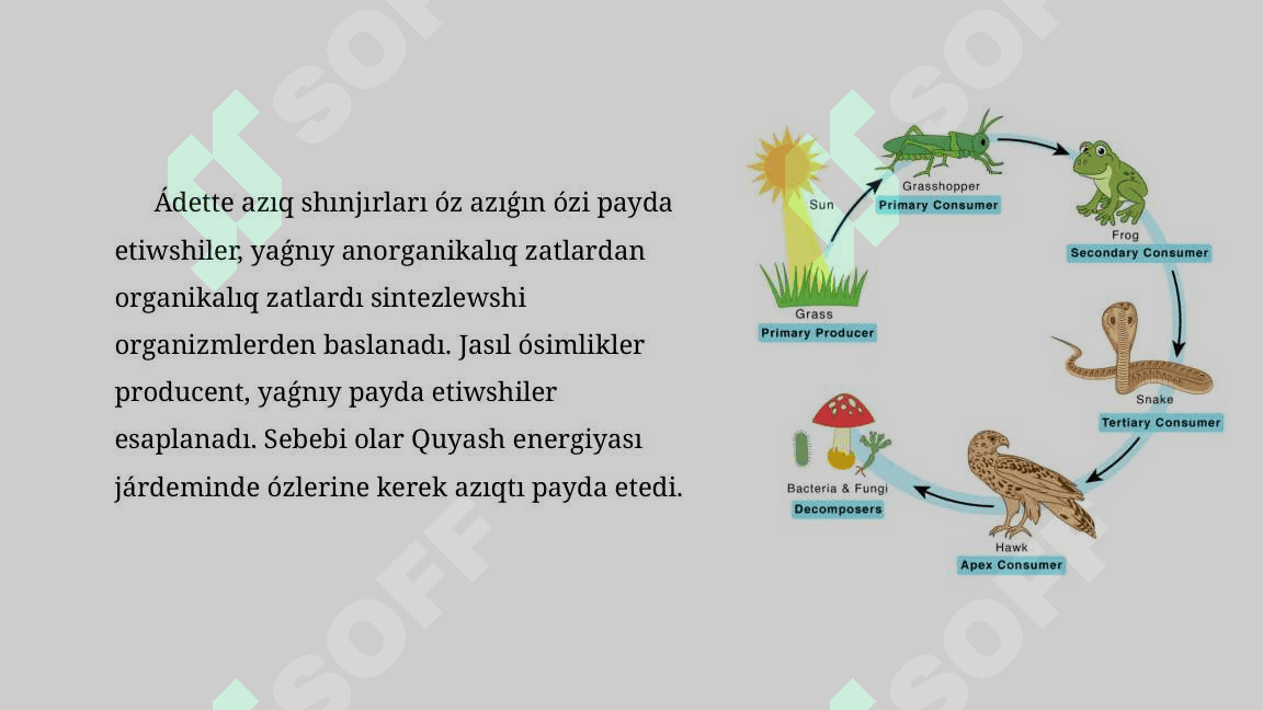 Azıq shınjırları hám azıq torı_5E 7
