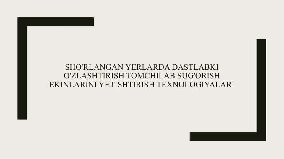 Sho'rlangan yerlarda dastlabki o'zlashtirish tomchilab sug'orish ekinlarini yetishtirish texnologiyalari