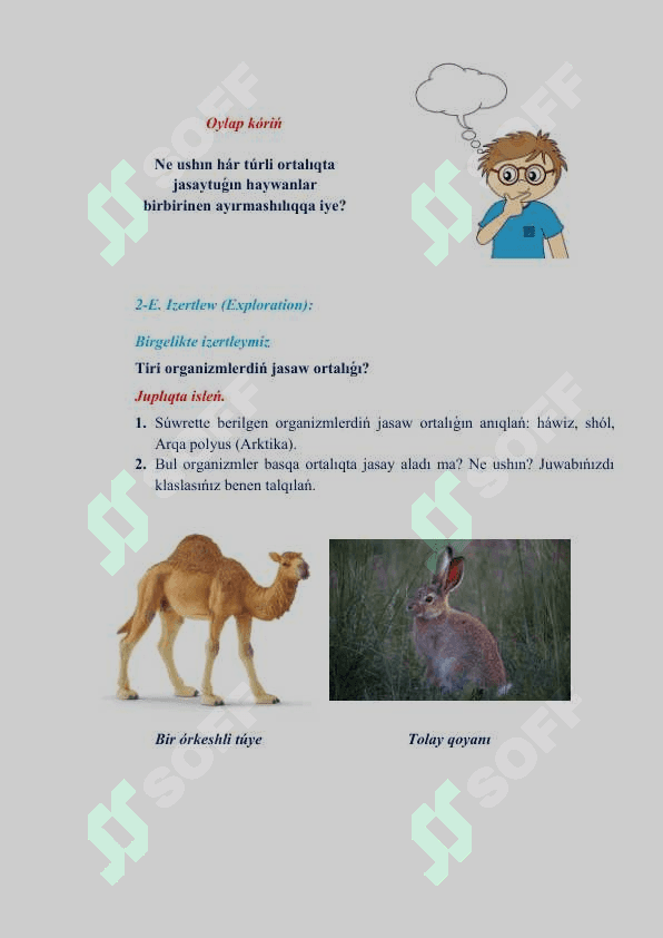 Jasaw ortalıǵına beyimlesiw_5E 3