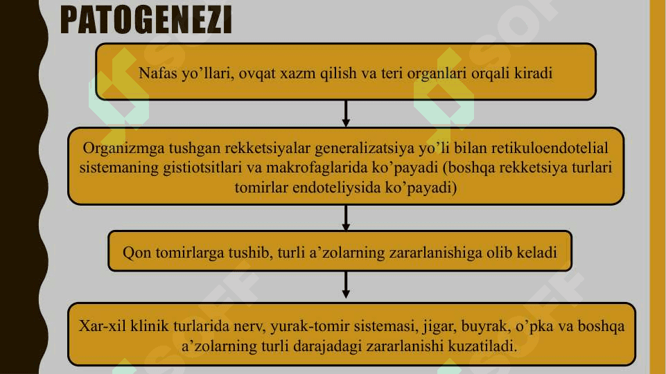 Ku-isitmasi etiologiya. Epidemiologiya, klinikasi, diagnostika, davolash 6