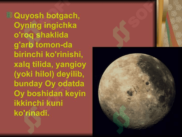 Oy orbitasining tekisligi 8