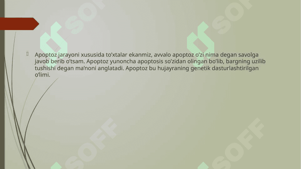 Apoptoz 2