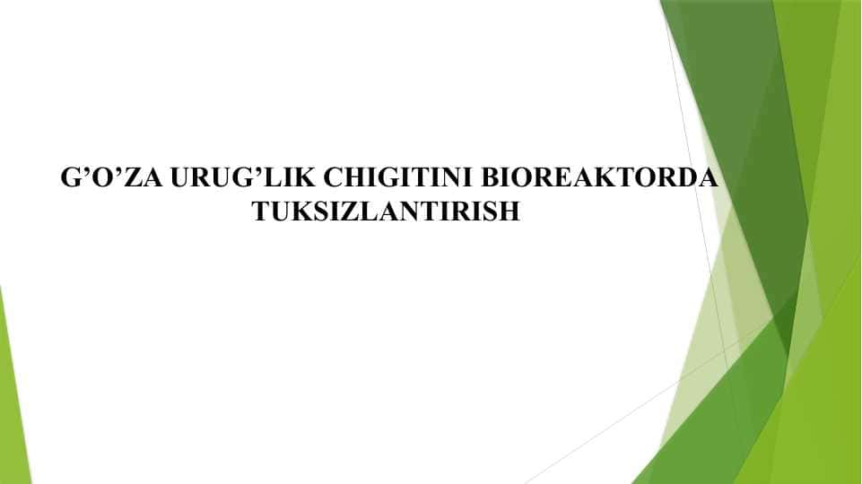 G’O’ZA URUG’LIK CHIGITINI BIOREAKTORDA TUKSIZLANTIRISH 1