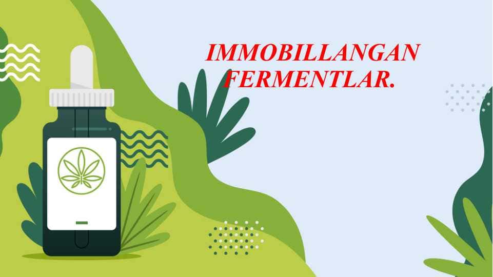 IMMOBILLANGAN FERMENTLAR 1