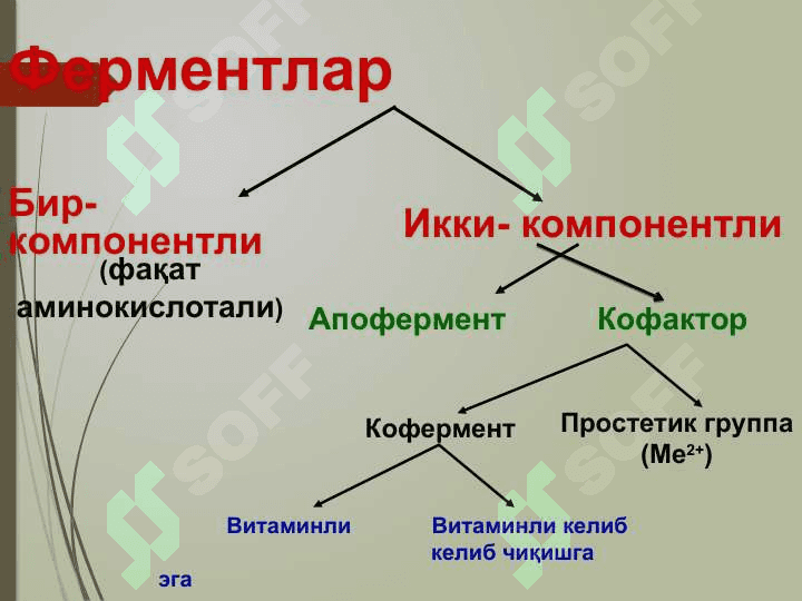 Оқсил табиатига эга биокатализаторлар 6