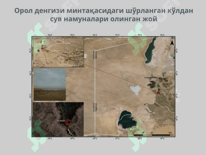 Полисахаридлар 4