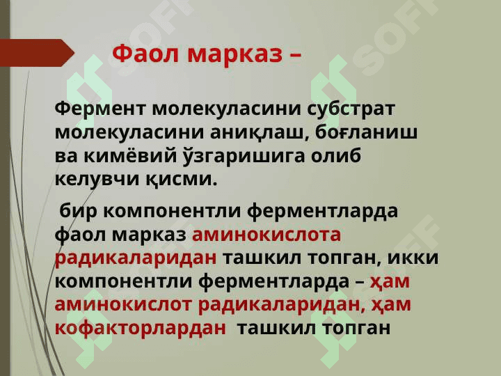Ферментлар (2) 3