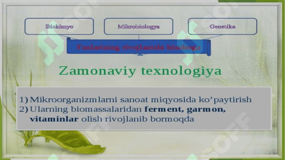 BIOTEXNOLOGIYA FANINING PREDMETI 6
