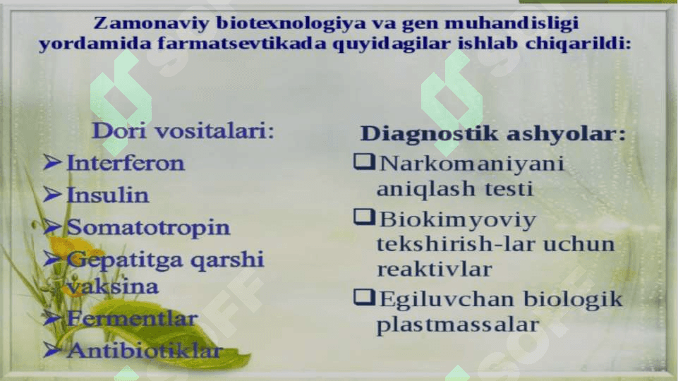 BIOTEXNOLOGIYA FANINING PREDMETI 8