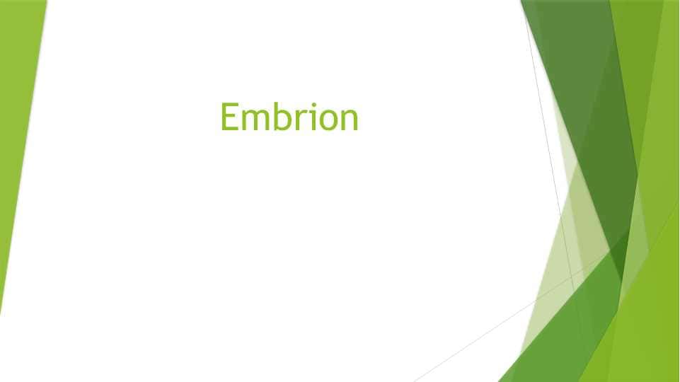 Embrion 1
