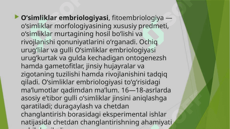 Embrion 4