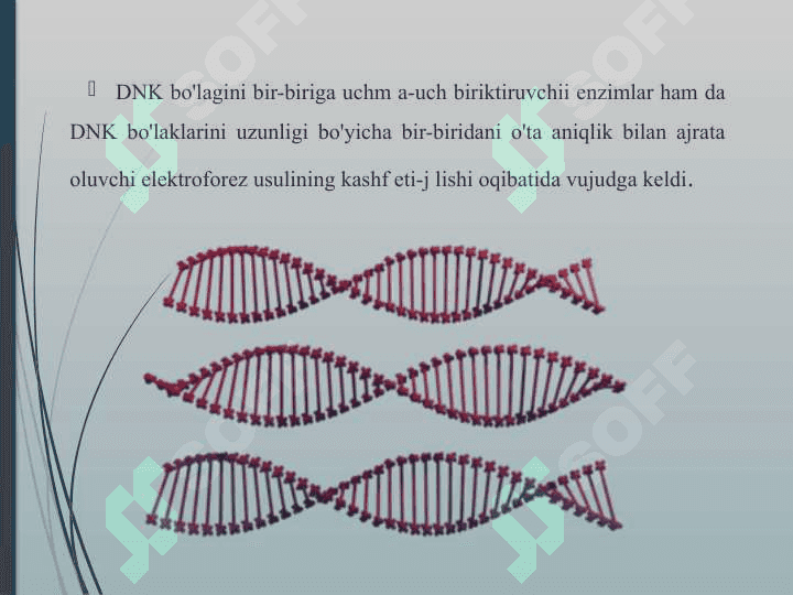 Genlar oilasi 5