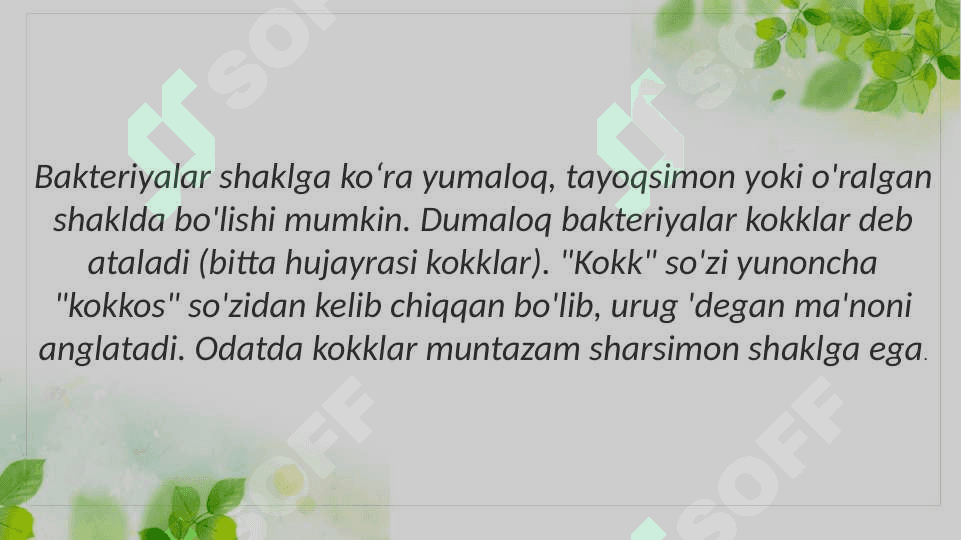 Mikroorganizmlar morfologiyasi 4