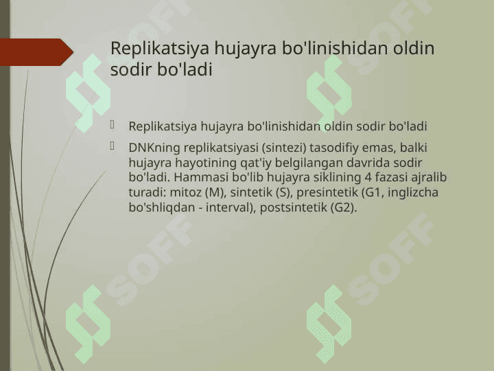 Prokariot va eukariot 6