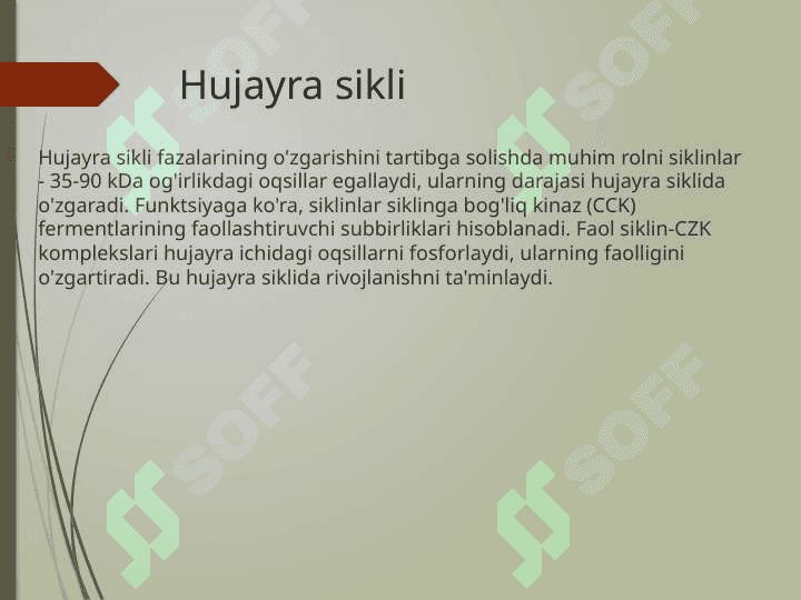 Prokariot va eukariot 8