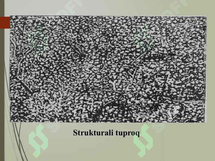 Tuproq strukturasi 8