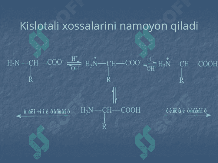 Aminokislota va oqsillar 8