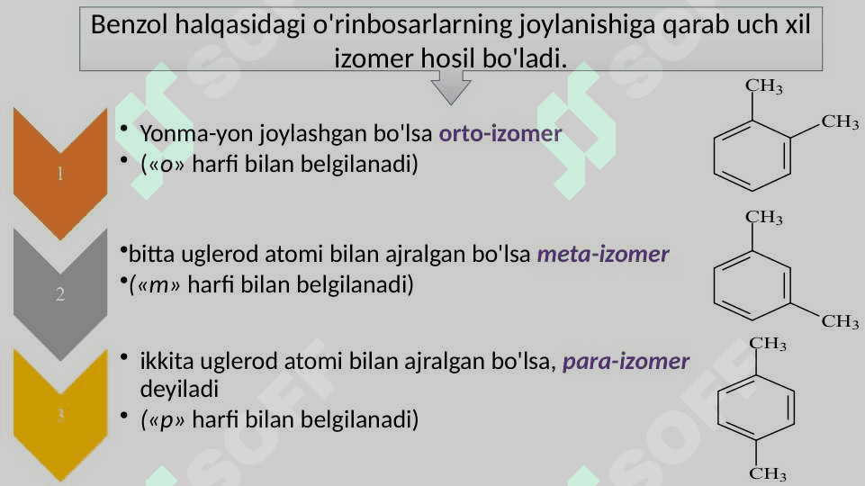 ARENLAR 6