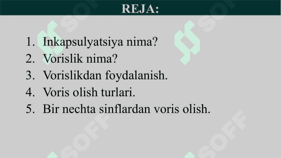 Inkapsulyatsiya va merosxo'rlik 2