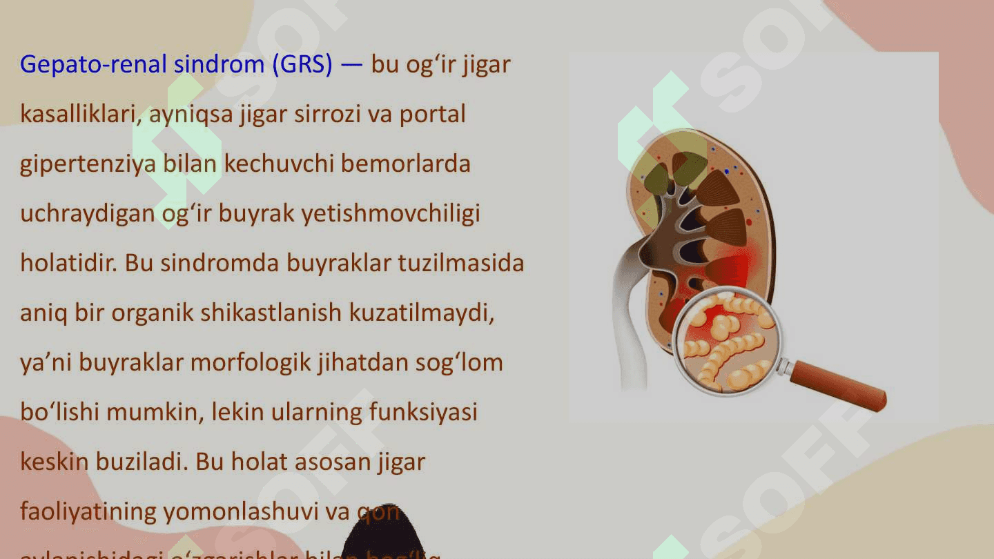 Gepato-renal sindrom 2